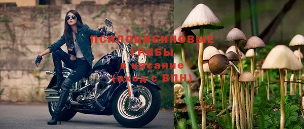 2c-b Белоозёрский
