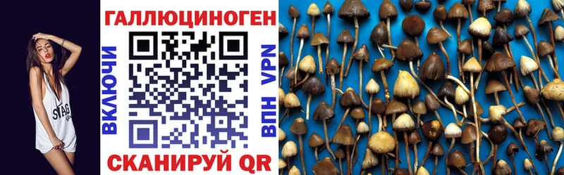 Галлюциногенные грибы прущие грибы  Кизляр 